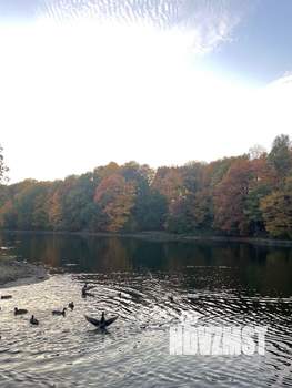 Коттедж 160м², 2-этажный, на длительный срок,