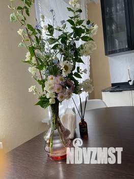 Дом 55м², 1-этажный, посуточно,