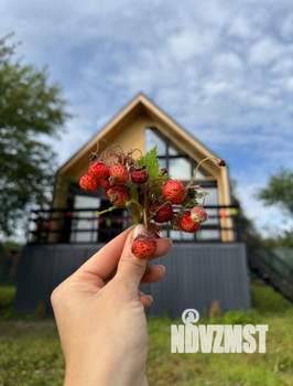 Дом 80м², 2-этажный, посуточно,