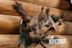 Дом 30м², 1-этажный, посуточно,