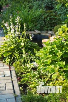 Дом 290м², 2-этажный, посуточно,