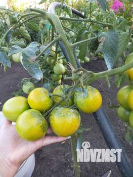 Дом 30м², 2-этажный, участок 6 сот.