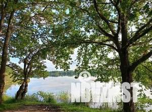 Дом 55м², 2-этажный, участок 8 сот.