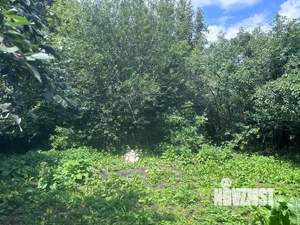 Дом 70м², 1-этажный, участок 8 сот.