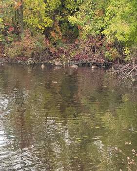 Дом 25м², 2-этажный, участок 5 сот.