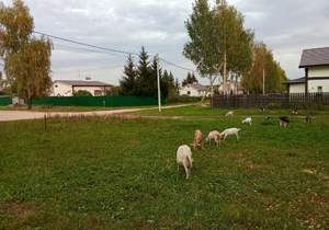 Дом 90м², 2-этажный, участок 10 сот.