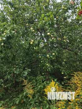 Дом 30м², 1-этажный, участок 5 сот.