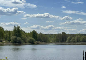 Дача 80м², 2-этажный, участок 6 сот.