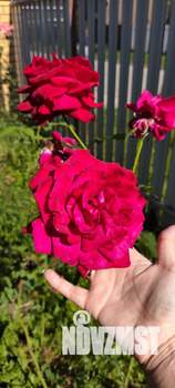 Коттедж 130м², 2-этажный, участок 6 сот.