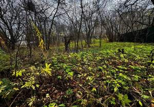 Дача 30м², 1-этажный, участок 8 сот.