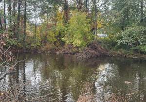 Дом 25м², 2-этажный, участок 5 сот.