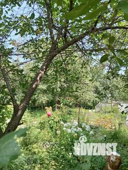 Дом 20м², 1-этажный, участок 4 сот.