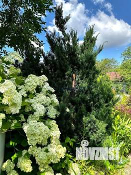 Дом 29м², 2-этажный, участок 5 сот.