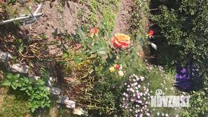 Дом 65м², 1-этажный, участок 6 сот.