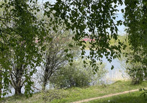 Дача 80м², 2-этажный, участок 6 сот.