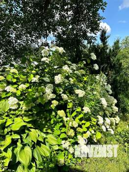 Дом 29м², 2-этажный, участок 5 сот.