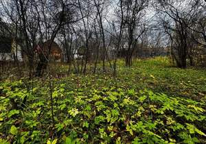 Дача 30м², 1-этажный, участок 8 сот.