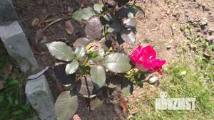 Дом 65м², 1-этажный, участок 6 сот.