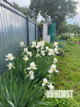 Дом 22м², 2-этажный, участок 8 сот.