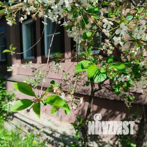 Дом 80м², 1-этажный, посуточно, 