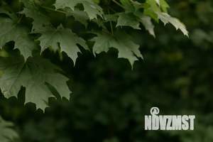 Дом 32м², 1-этажный, посуточно, 