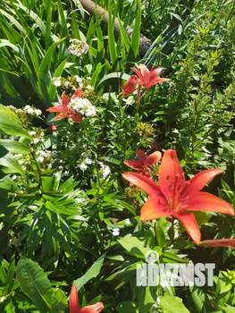 Дом 30м², 2-этажный, участок 6 сот.  