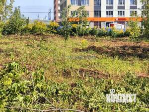 Дом 44м², 1-этажный, участок 15 сот.  