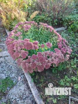 Дом 37м², 2-этажный, участок 5 сот.  