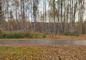 Дом 330м², 2-этажный, участок 8 сот.  