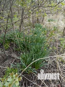 Дом 30м², 2-этажный, участок 6 сот.  