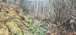 Дом 53м², 1-этажный, участок 356 сот.  