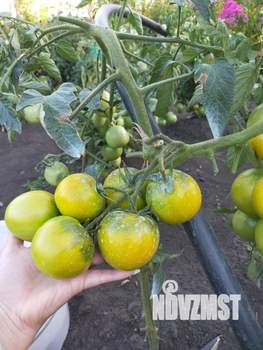 Дом 30м², 2-этажный, участок 6 сот.  