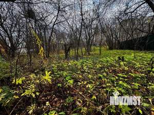 Дом 30м², 1-этажный, участок 8 сот.  