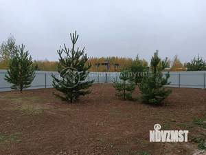 Дом 113м², 1-этажный, участок 10 сот.  