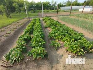Дом 185м², 2-этажный, участок 15 сот.  