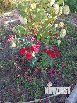 Дом 37м², 2-этажный, участок 5 сот.  