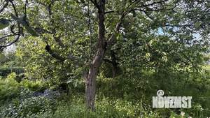 Дом 55м², 1-этажный, участок 5 сот.  