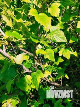 Дом 30м², 2-этажный, участок 6 сот.  