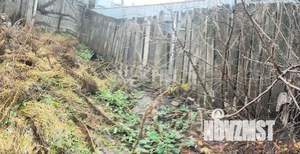 Дом 53м², 1-этажный, участок 4 сот.  