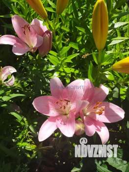 Дом 30м², 2-этажный, участок 6 сот.  