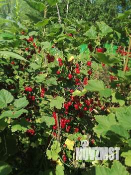 Дом 30м², 2-этажный, участок 6 сот.  