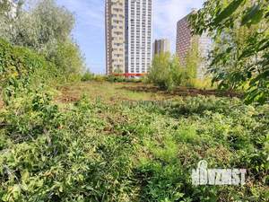 Дом 44м², 1-этажный, участок 15 сот.  