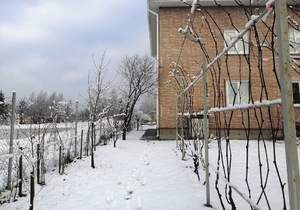 Дом 138м², 3-этажный, участок 5 сот.  