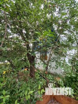 Дом 30м&sup2;, 2-этажный, участок 5 сот.  