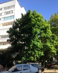 Фото комнаты в аренду (3)
