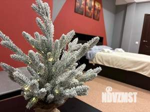 1-к квартира, посуточно, 47м2, 1/1 этаж