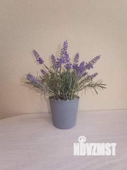 1-к квартира, посуточно, 35м2, 15/24 этаж