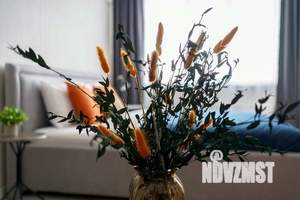 1-к квартира, посуточно, 45м2, 1/1 этаж