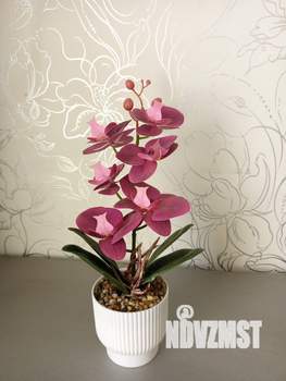 3-к квартира, посуточно, 60м2, 8/9 этаж