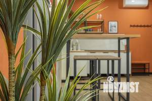 Студия квартира, посуточно, 37м2, 1/2 этаж